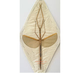 Stick insect sp.15 (Malaysia)